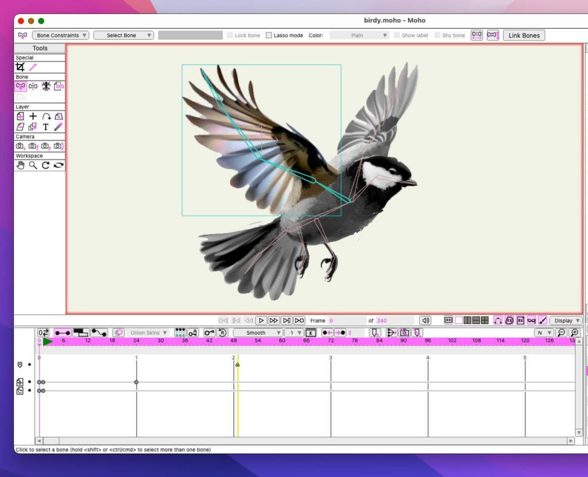 Animation Practice